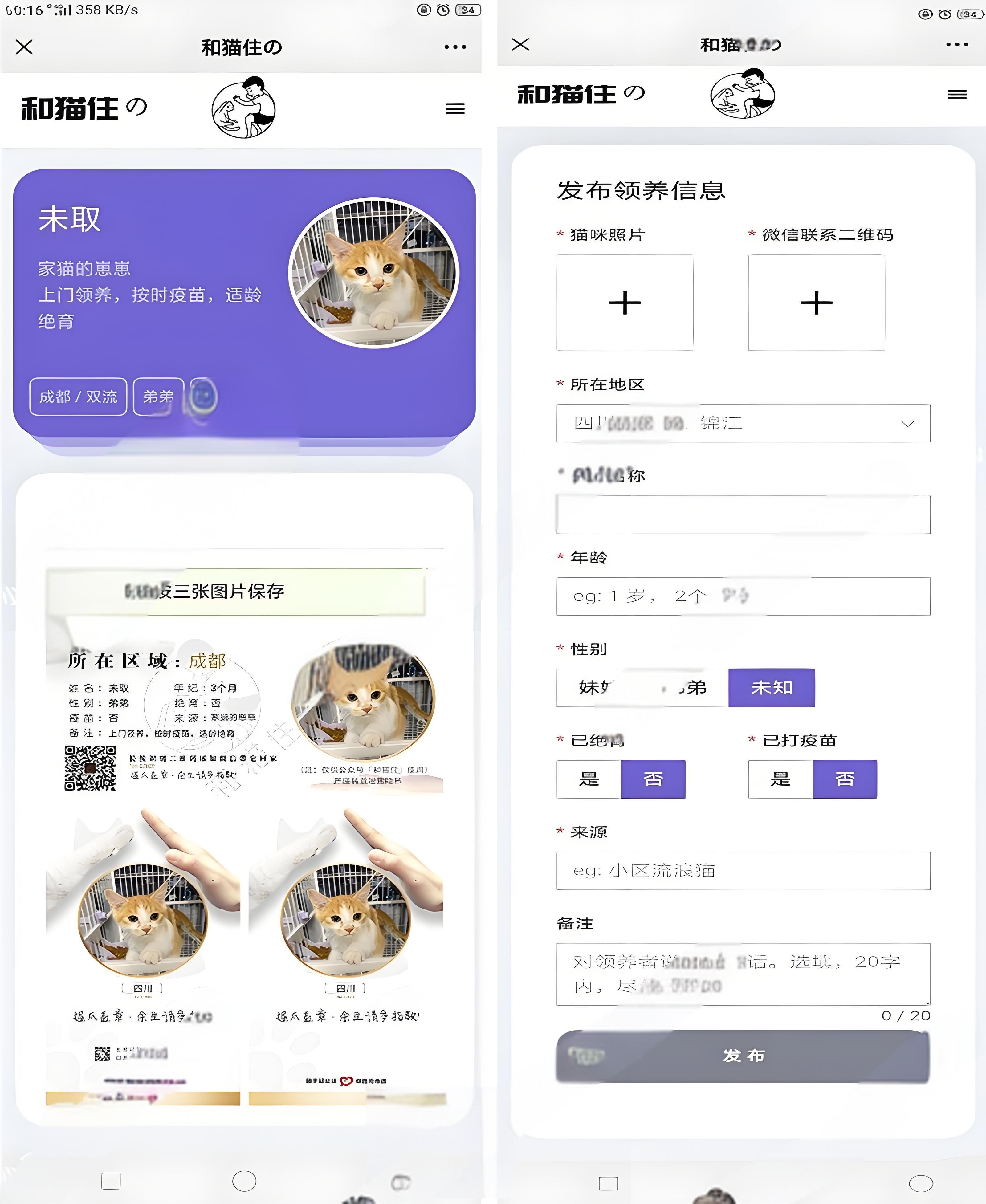 流浪猫流浪狗领养信息发布平台：源码 + 搭建教程